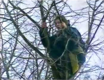 Shergroup Enforcement Timeline