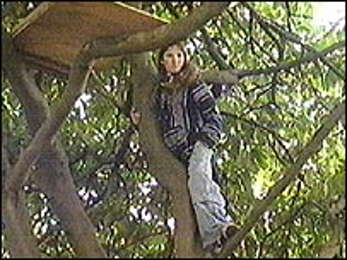 Shergroup Enforcement Timeline